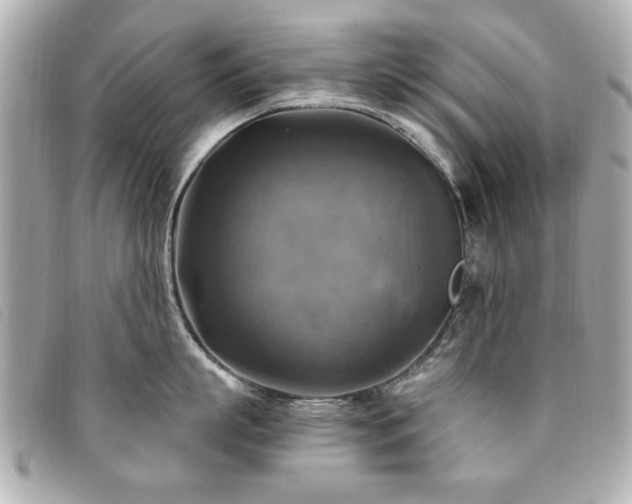 X0000094210863200710261209