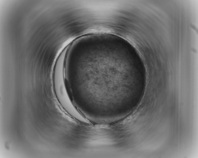 X0000094210864200710261209