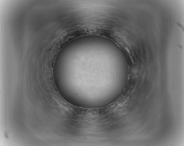 X0000094210865200710261208
