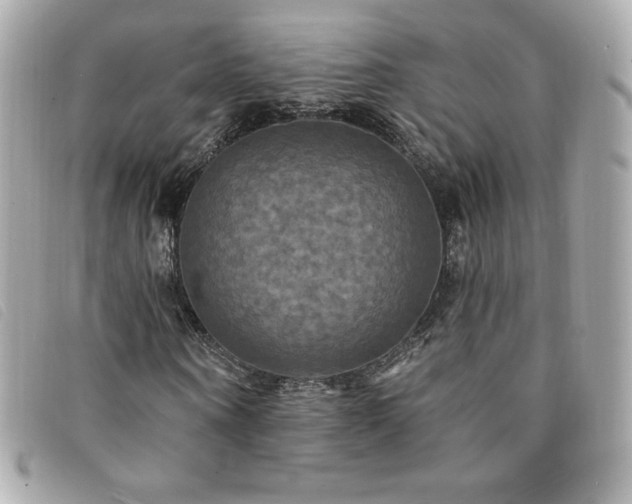 X0000094210866200710261208