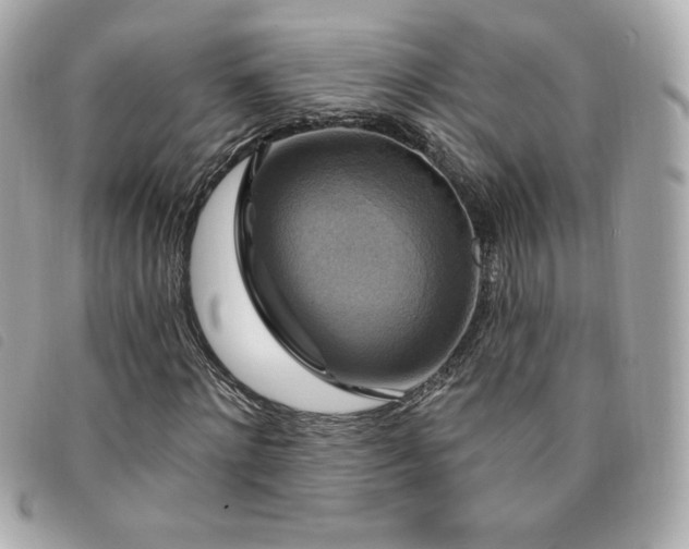 X0000094210868200710261208