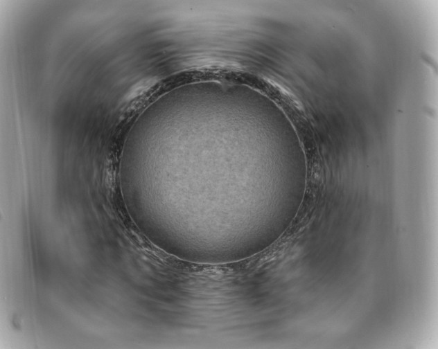 X0000094210869200710261208
