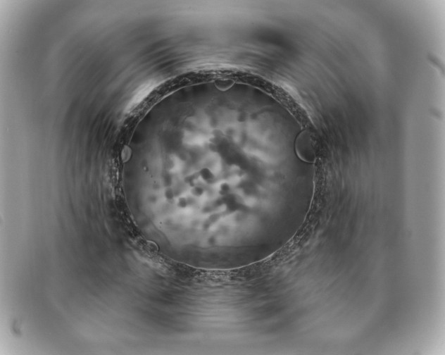 X0000094210871200710261208