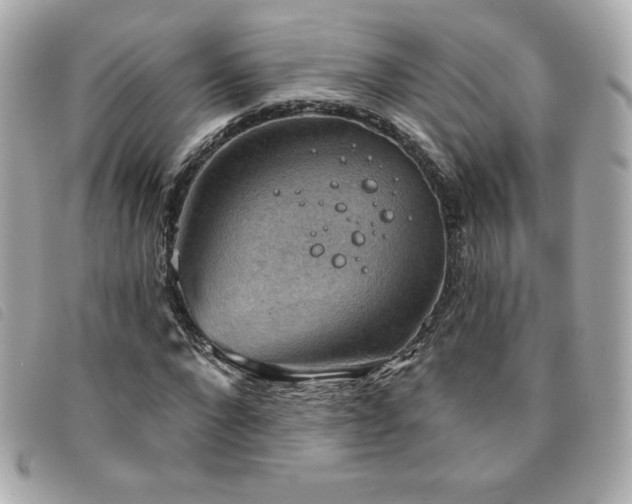 X0000094210872200710261208