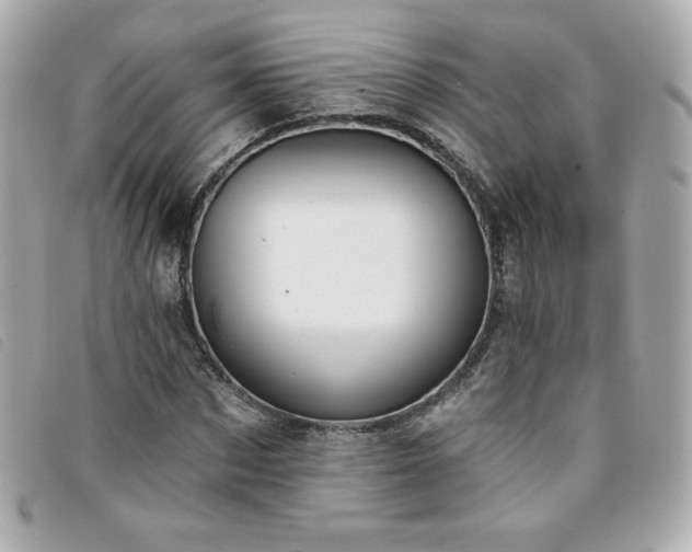 X0000094210873200710261208
