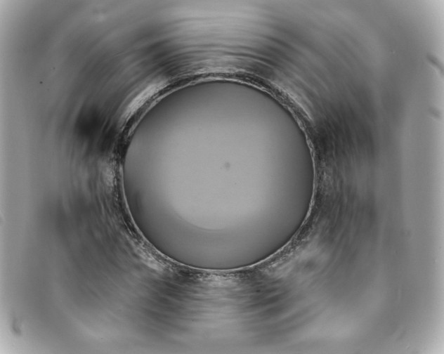 X0000094210874200710261208