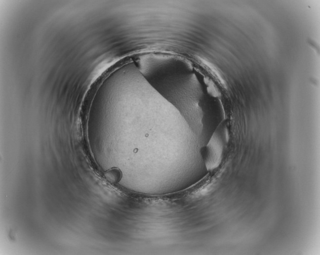 X0000094210876200710261208