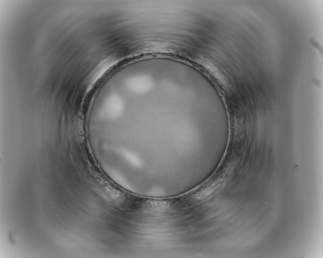 X0000094210878200710261208