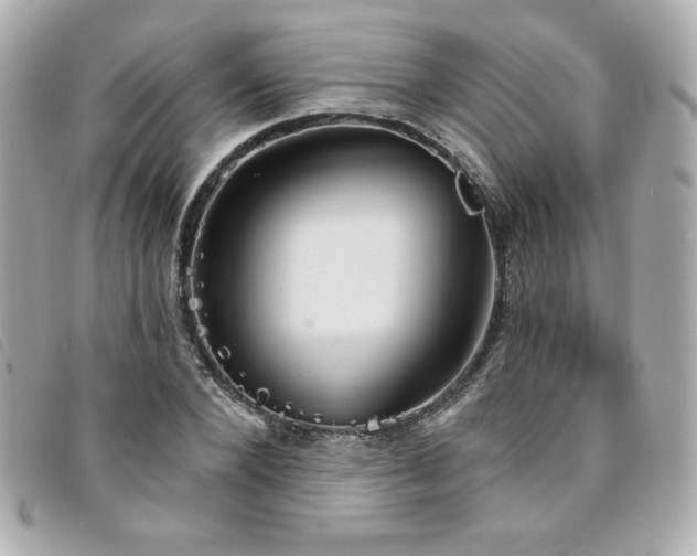 X0000094210880200710261208