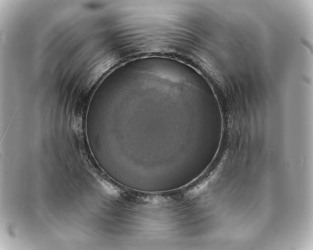 X0000094210881200710261208