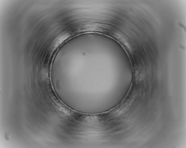 X0000094210882200710261208