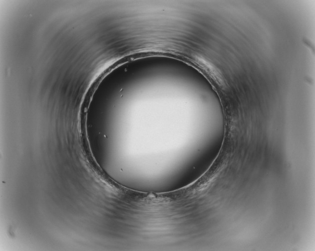 X0000094210884200710261208