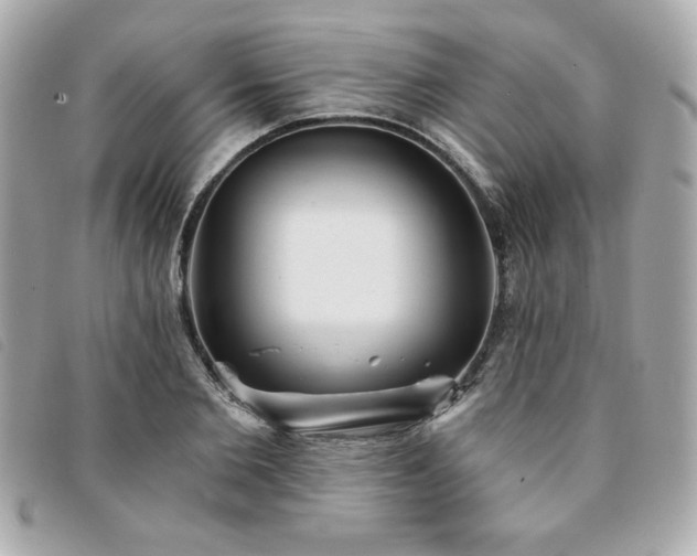 X0000094210885200710261208