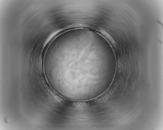 X0000094210886200710261208