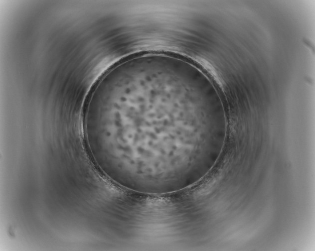 X0000094210887200710261208