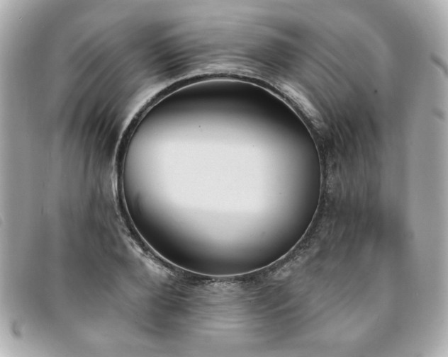X0000094210888200710261208