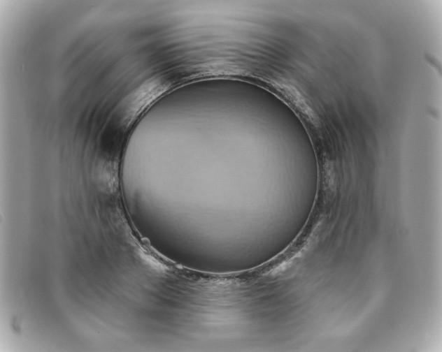 X0000094210889200710261208