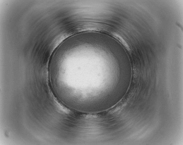 X0000094210890200710261208