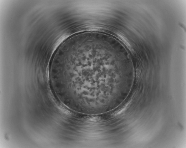 X0000094210891200710261208
