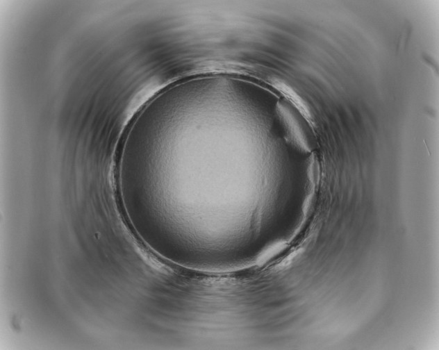 X0000094210893200710261208