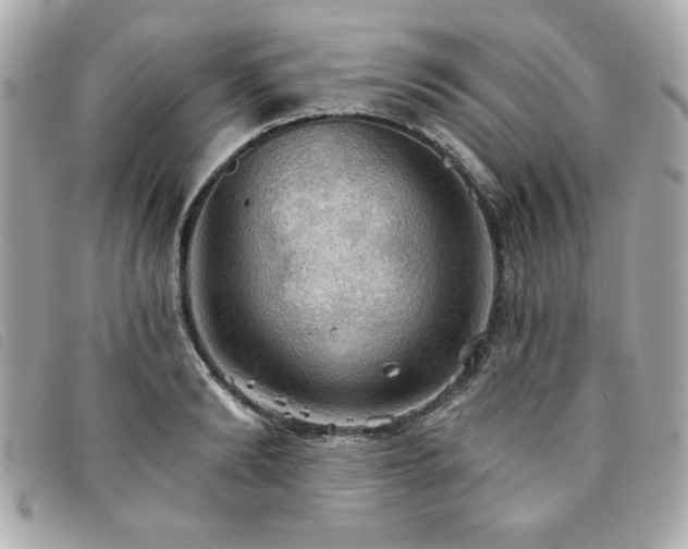 X0000094210894200710261208
