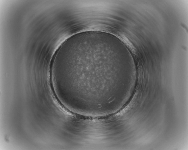 X0000094210896200710261208
