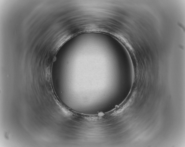 X0000094210897200710261208