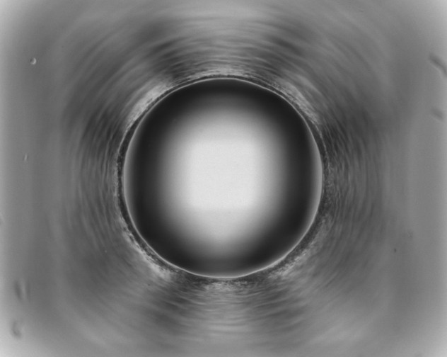 X0000094210898200710261208