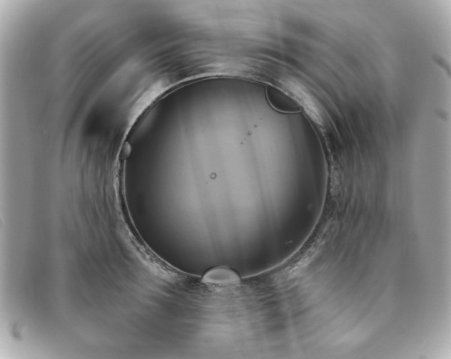 X0000094210899200710261208