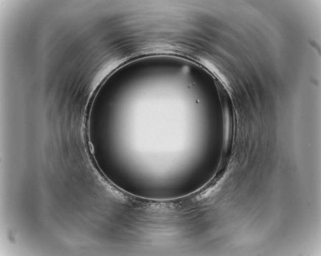 X0000094210901200710261208