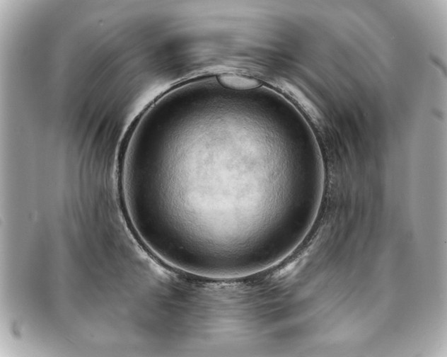 X0000094210902200710261208