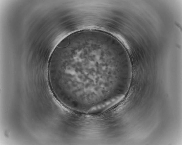 X0000094210903200710261208