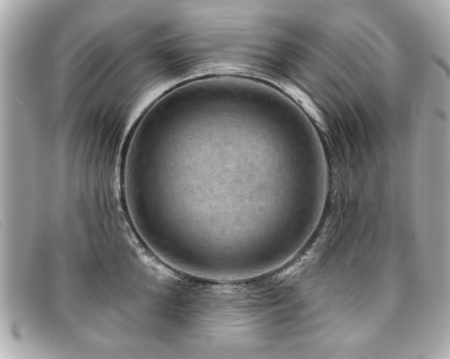X0000094210904200710261208
