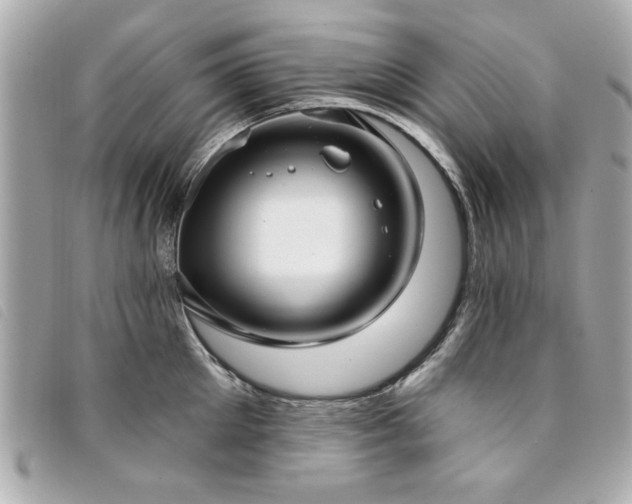 X0000094210905200710261208