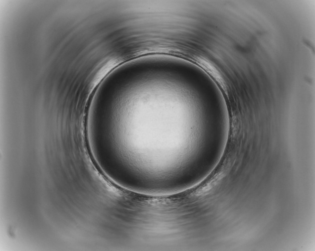 X0000094210906200710261208