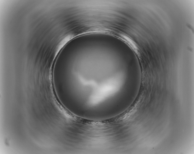 X0000094210907200710261208