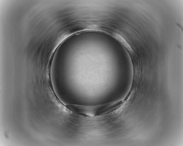 X0000094210908200710261208
