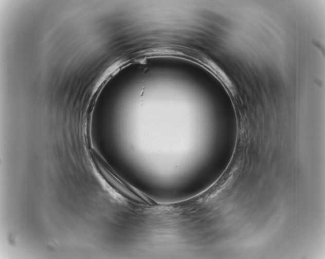 X0000094210909200710261208