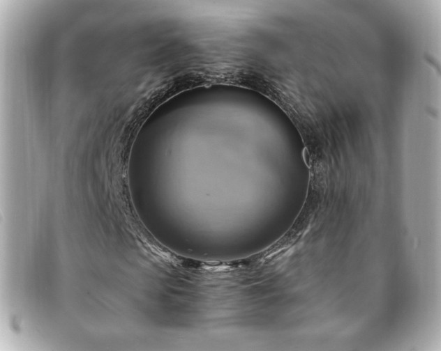 X0000094210913200710261207