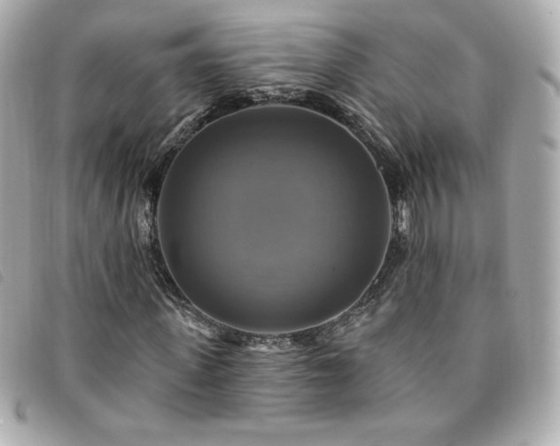 X0000094210915200710261207