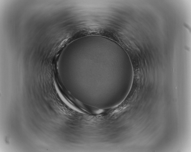 X0000094210916200710261207