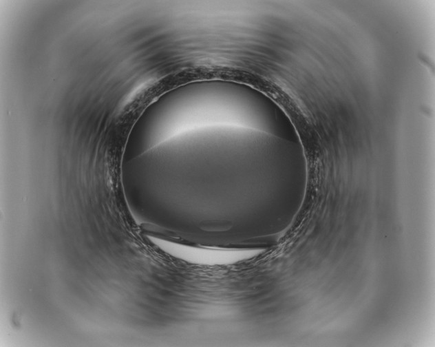 X0000094210919200710261207