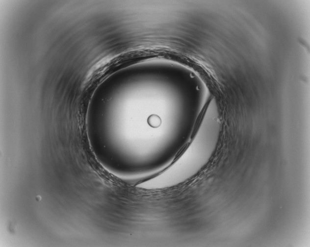 X0000094210920200710261207