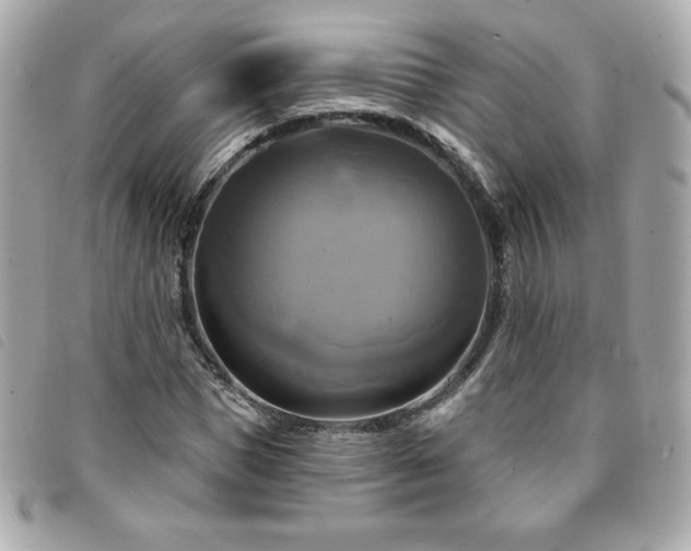 X0000094210921200710261207