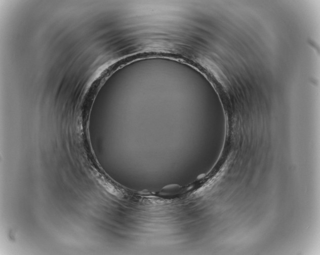 X0000094210923200710261207