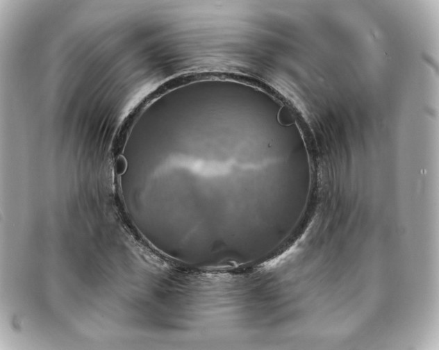 X0000094210925200710261207