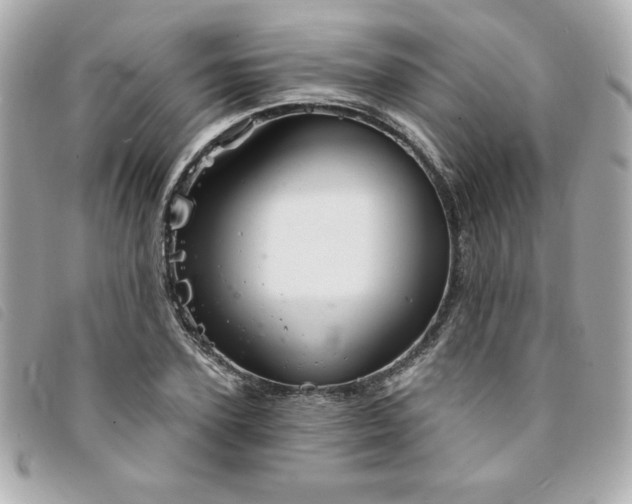 X0000094210931200710261207