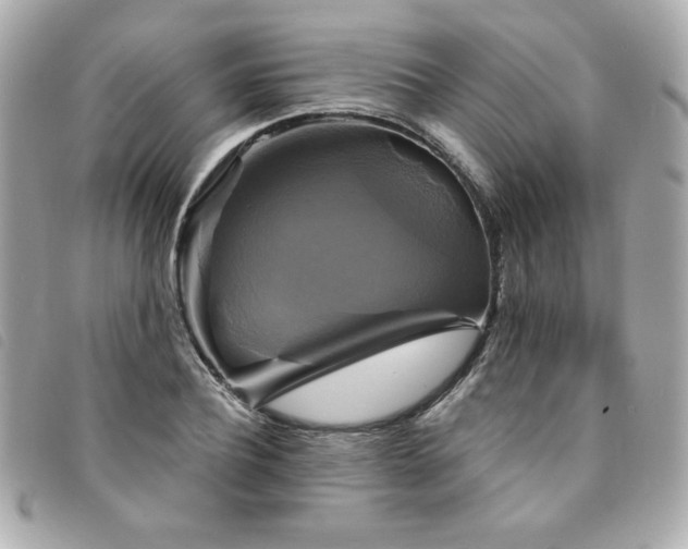 X0000094210932200710261207