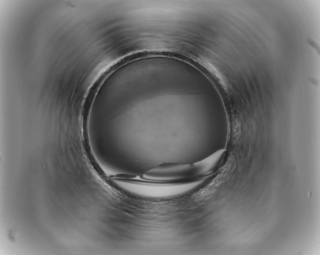 X0000094210935200710261208