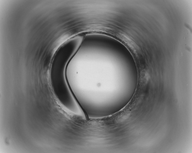 X0000094210936200710261208
